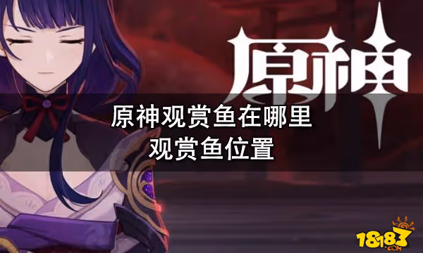 原神觀賞魚在哪裡 觀賞魚位置