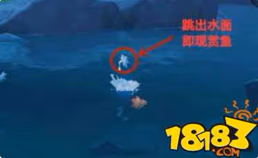 原神觀賞魚在哪裡 觀賞魚位置