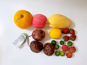 冷泡水果茶