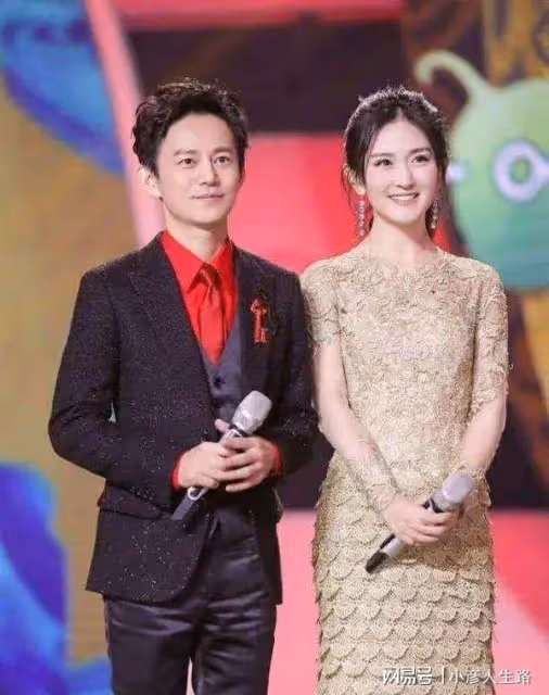 謝娜最大的悲哀,是錯把平台當本事