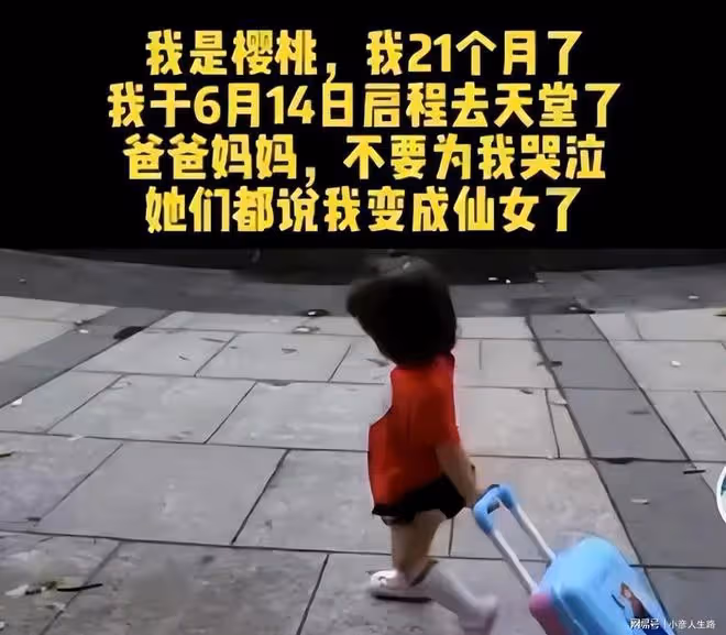 杭州女童墜亡案:父親用女兒的「命」,撕開保姆行業的遮羞布
