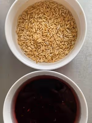 2款有米酸奶｜內含一分鐘超快製作酸奶｜有紫米｜有燕麥