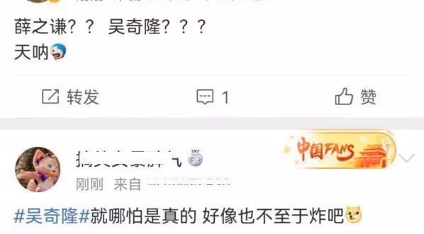 吳奇隆劉詩詩再傳婚變 男方換微博頭像