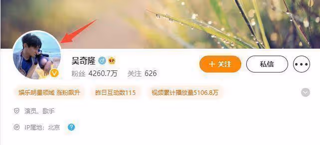 吳奇隆劉詩詩再傳婚變 男方換微博頭像