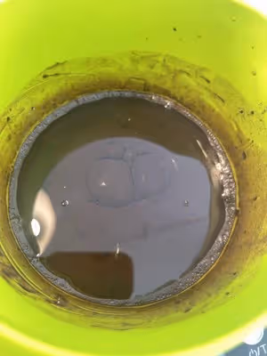 巧克力玫瑰蛋糕🉑️太好吃啦‼️