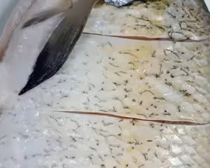 家常紅燒魚🐟超下飯❤️超詳細製作步驟