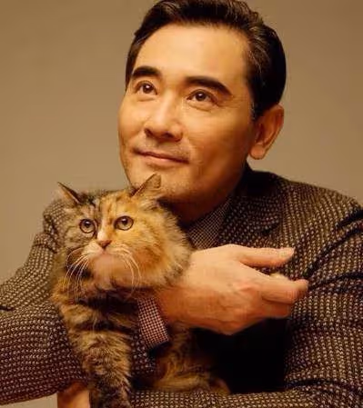 「國民男神」趙文瑄:獨居鄉下800平米大別墅,至今單身感情成謎,62歲每天與貓狗為伴:比從前快樂