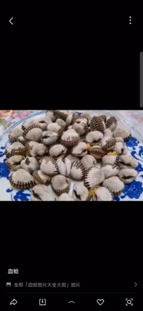 血蛤的汕頭吃法