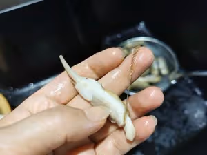 鮮美無比的絲瓜炒雙鮮