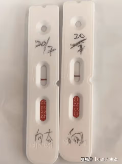 向太長文回應向佐出軌傳聞,疑喊話狗仔有仇必報,郭碧婷依舊沉默