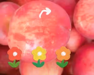 夏日限定「桃子醬」大量消耗🍑