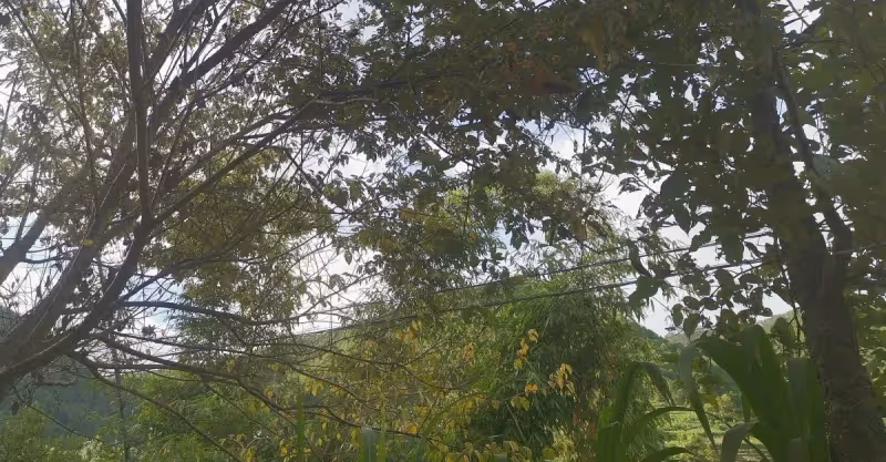 關於感情 一段感情