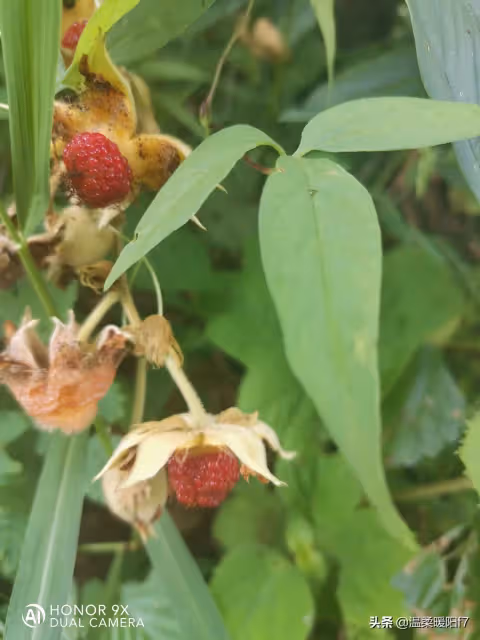關於感情 一段感情