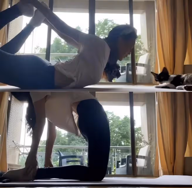 46歲舒淇做瑜伽秀身材,把自己迭成餃子狀