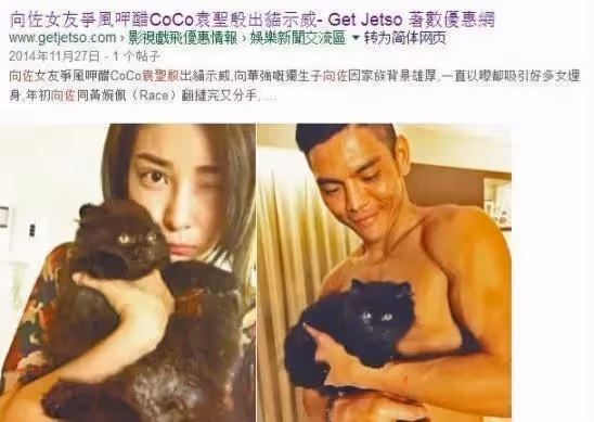 郭碧婷：自己選的豪門路，「跪著」也要走下去