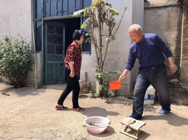 妻子出軌失聯,我照顧患病岳母2年,岳母脫下外套我愣在原地