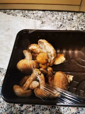 減脂增肌吃什麼-三文魚燜飯-«昨日的美食»常見食材復刻