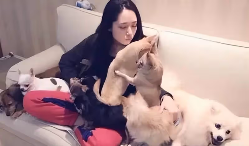 跪地為向佐穿鞋，剪頭髮要經婆婆同意，嫁入豪門的郭碧婷幸福嗎？