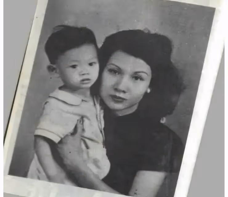 34年後再看鄭少秋和沈殿霞的婚姻,或許分開是他們最好的選擇