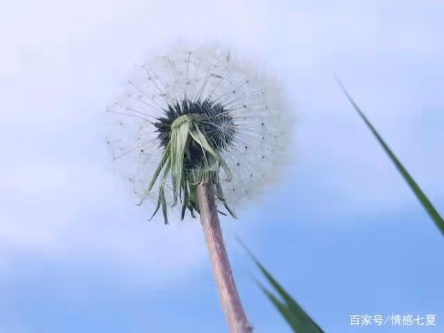女婿做主接他父母養老,岳母后腳拿房產證趕人:你沒資格軟飯硬吃