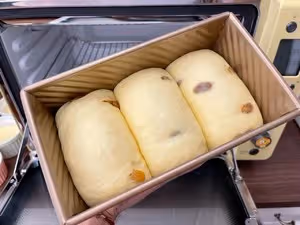 新手也能一次就成功的葡萄乾吐司麵包（無黃油版）