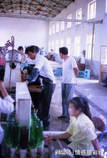 當年,父親把母親和我趕出家門,如今身患絕症的他,又聯繫上了我