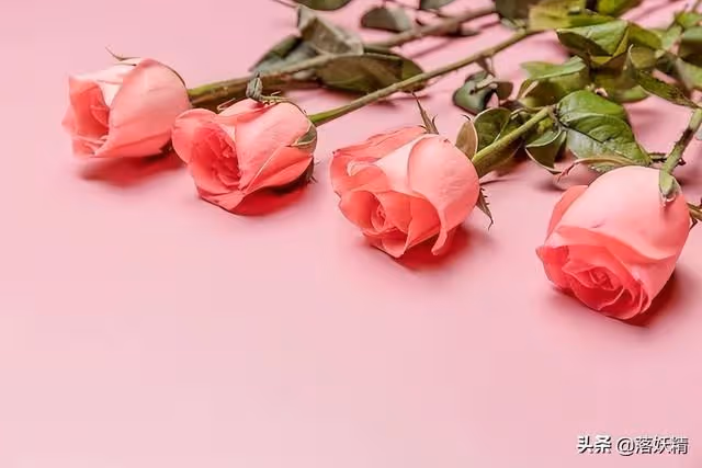 接岳父母住新房,父母上門理論,兒子:家產給弟弟,我是上門女婿