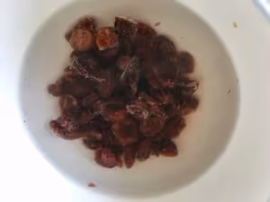 全麥蔓越莓核桃軟歐包——復刻健康麵包計劃2