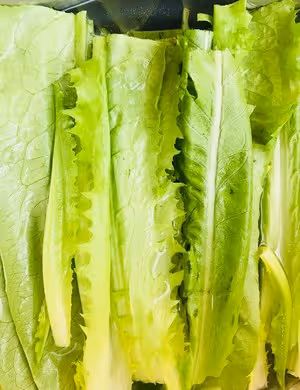 酸菜魚面