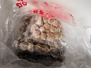 家庭自製牛肉丸