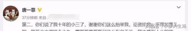姚晨與凌瀟肅，10年「離婚大戰」，沒有一個是贏家