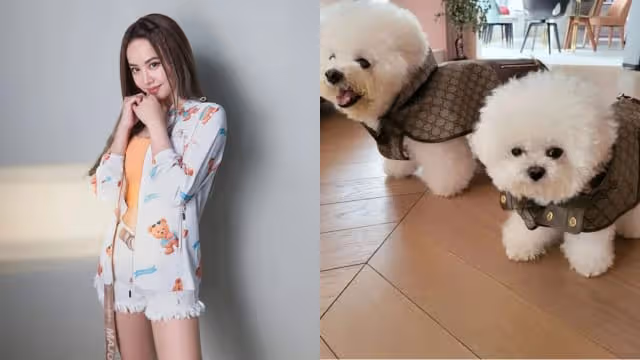蔡依林曬自拍美照　清純模樣像大學生