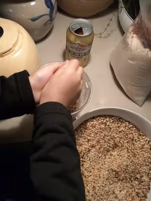 茄子鮓（昆明老味道，用傳統工序製作，從茄子到鮓的蛻變）