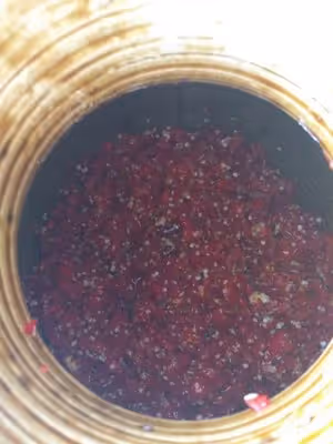 茄子鮓（昆明老味道，用傳統工序製作，從茄子到鮓的蛻變）