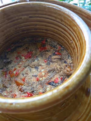 茄子鮓（昆明老味道，用傳統工序製作，從茄子到鮓的蛻變）