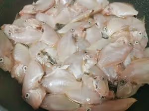 黃豆醬剝皮魚(迪仔魚)