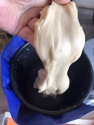 10L小烤箱烤一切--（已優化）125/250g一發軟到沒朋友的手撕拉絲水立方吐司