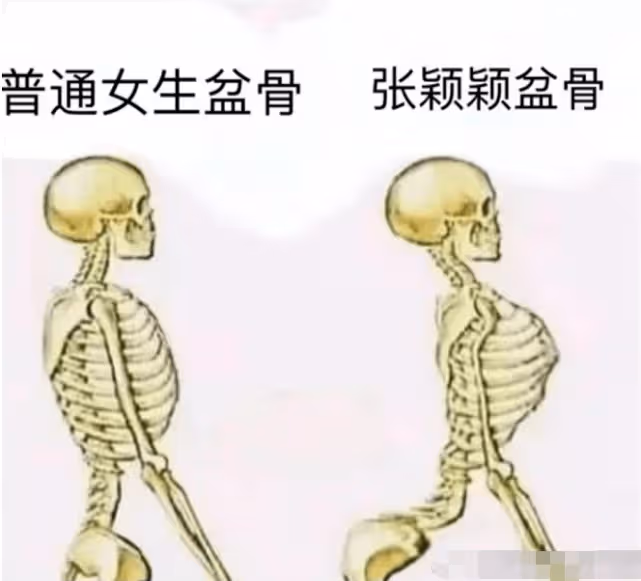 張蘭公開表態討厭張穎穎 女方疑故意挑釁 ...