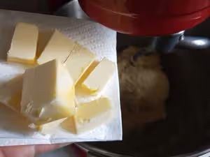 湯種原味吐司plus(1000g)