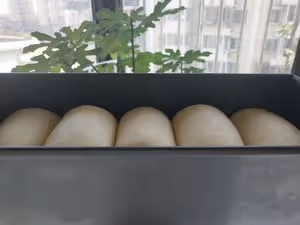 湯種原味吐司plus(1000g)