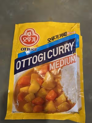 清空冰箱—咖喱烏冬面