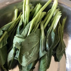 油潑麵