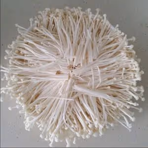 蒜蓉蒸金針菇