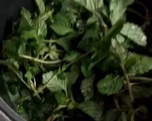 零失敗_廣東甜品大街小巷都賣的涼粉草，自己也能親手做哦