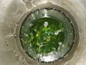 零失敗_廣東甜品大街小巷都賣的涼粉草，自己也能親手做哦