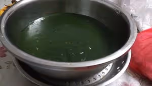零失敗_廣東甜品大街小巷都賣的涼粉草，自己也能親手做哦