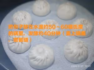 2小時快手做包子~從麵粉到嘴巴的距離