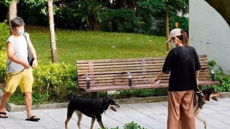 黃心穎與TVB約滿不續　同居新男友身份曝光！