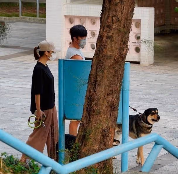黃心穎承認與男友已同居!自曝與TVB正式完約,舊愛馬國明回應