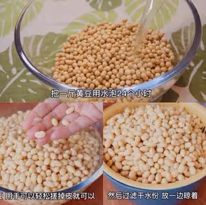 簡易版西瓜醬（不用發酵）